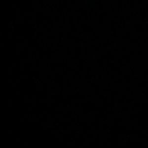 Meet your Posher, Stella